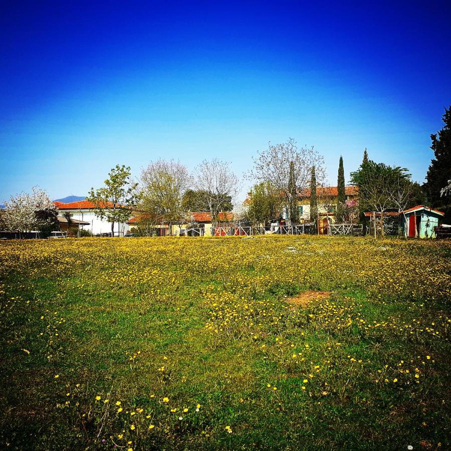 Cascina Corteprimavera, B&B Del Baliot Passirano Dış mekan fotoğraf
