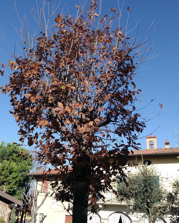 Cascina Corteprimavera, B&B Del Baliot Passirano Dış mekan fotoğraf