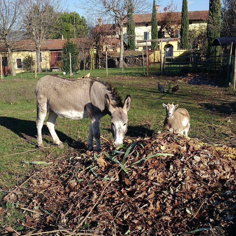 Cascina Corteprimavera, B&B Del Baliot Passirano Dış mekan fotoğraf